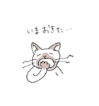 シャム猫くん（個別スタンプ：11）
