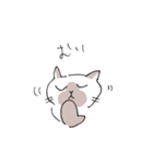 シャム猫くん（個別スタンプ：19）