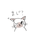 シャム猫くん（個別スタンプ：20）
