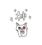 シャム猫くん（個別スタンプ：21）