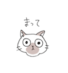 シャム猫くん（個別スタンプ：25）