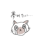 シャム猫くん（個別スタンプ：26）