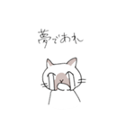シャム猫くん（個別スタンプ：27）