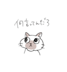 シャム猫くん（個別スタンプ：33）