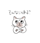 シャム猫くん（個別スタンプ：34）