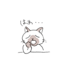 シャム猫くん（個別スタンプ：37）