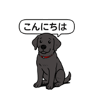 ラブラドールレトリバー (ブラック)（個別スタンプ：1）