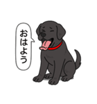 ラブラドールレトリバー (ブラック)（個別スタンプ：2）