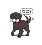 ラブラドールレトリバー (ブラック)（個別スタンプ：6）