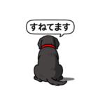ラブラドールレトリバー (ブラック)（個別スタンプ：8）