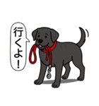 ラブラドールレトリバー (ブラック)（個別スタンプ：9）
