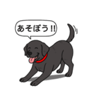 ラブラドールレトリバー (ブラック)（個別スタンプ：11）