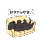 ラブラドールレトリバー (ブラック)（個別スタンプ：15）