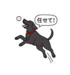 ラブラドールレトリバー (ブラック)（個別スタンプ：18）