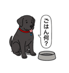 ラブラドールレトリバー (ブラック)（個別スタンプ：19）