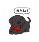 ラブラドールレトリバー (ブラック)（個別スタンプ：22）