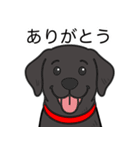 ラブラドールレトリバー (ブラック)（個別スタンプ：23）