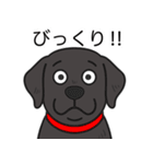 ラブラドールレトリバー (ブラック)（個別スタンプ：24）