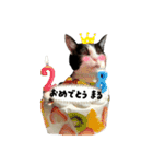 まるちゃんのいろんな顔（個別スタンプ：32）