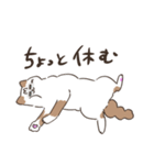 たたかうまろ（個別スタンプ：11）