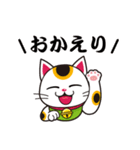 開運まねきねこの日常で使えるスタンプ2（個別スタンプ：13）