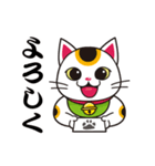 開運まねきねこの日常で使えるスタンプ2（個別スタンプ：17）
