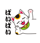 開運まねきねこの日常で使えるスタンプ2（個別スタンプ：19）