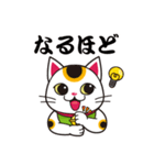 開運まねきねこの日常で使えるスタンプ2（個別スタンプ：20）