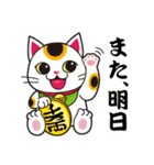 開運まねきねこの日常で使えるスタンプ2（個別スタンプ：21）