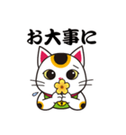 開運まねきねこの日常で使えるスタンプ2（個別スタンプ：22）