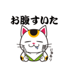 開運まねきねこの日常で使えるスタンプ2（個別スタンプ：23）