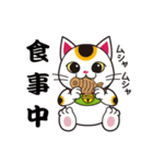 開運まねきねこの日常で使えるスタンプ2（個別スタンプ：39）