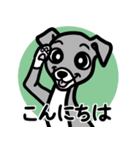 【ブルー3】1年中使える♡パピーイタグレ（個別スタンプ：2）