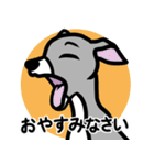 【ブルー3】1年中使える♡パピーイタグレ（個別スタンプ：4）