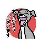 【ブルー3】1年中使える♡パピーイタグレ（個別スタンプ：5）