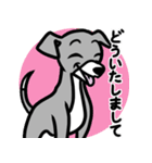 【ブルー3】1年中使える♡パピーイタグレ（個別スタンプ：6）
