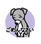 【ブルー3】1年中使える♡パピーイタグレ（個別スタンプ：7）