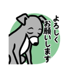 【ブルー3】1年中使える♡パピーイタグレ（個別スタンプ：9）