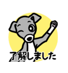 【ブルー3】1年中使える♡パピーイタグレ（個別スタンプ：10）