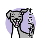 【ブルー3】1年中使える♡パピーイタグレ（個別スタンプ：14）