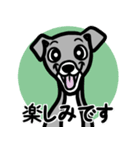【ブルー3】1年中使える♡パピーイタグレ（個別スタンプ：16）