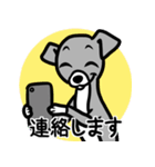 【ブルー3】1年中使える♡パピーイタグレ（個別スタンプ：24）