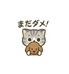 スコ姫の日常2（個別スタンプ：15）