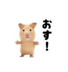 踊る！キンクマハムスター（個別スタンプ：6）