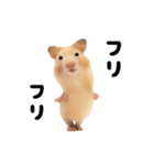 踊る！キンクマハムスター（個別スタンプ：9）