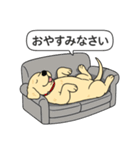 ラブラドールレトリバー (イエロー)（個別スタンプ：4）