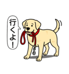 ラブラドールレトリバー (イエロー)（個別スタンプ：10）