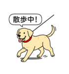 ラブラドールレトリバー (イエロー)（個別スタンプ：11）