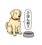 ラブラドールレトリバー (イエロー)（個別スタンプ：20）