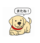 ラブラドールレトリバー (イエロー)（個別スタンプ：22）